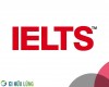 Tuyển sinh các khóa học tiếng Anh IELTS